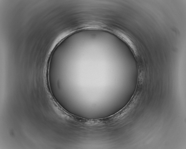 X0000112371146200908271312