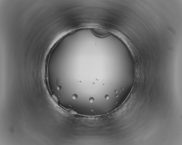 X0000112371147200908271312