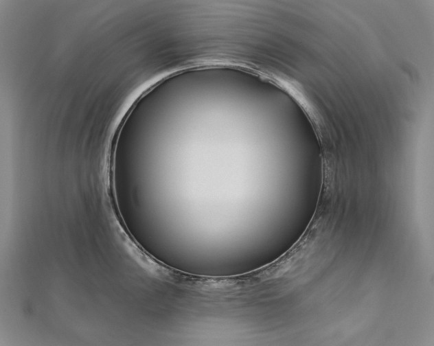 X0000112371148200908271312