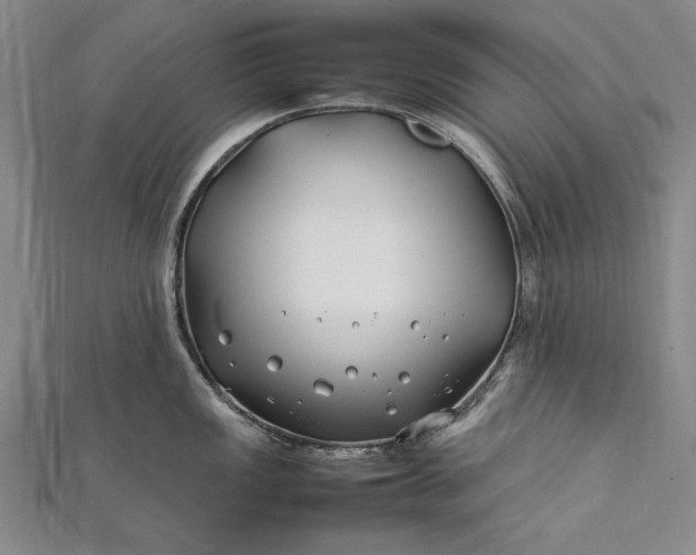 X0000112371149200908271312