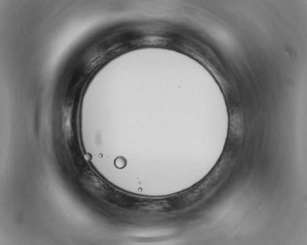 X0000112371150200908271312