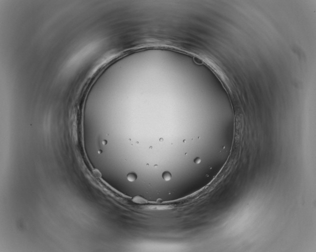 X0000112371151200908271312