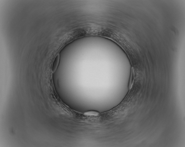 X0000112371153200908271312