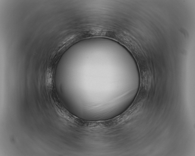 X0000112371154200908271312