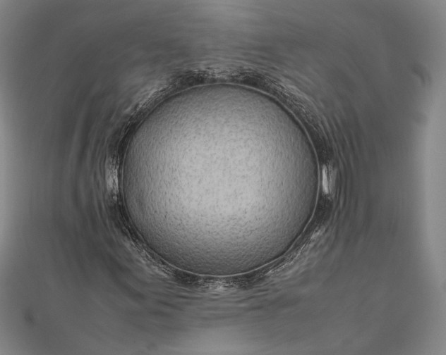 X0000112371155200908271312