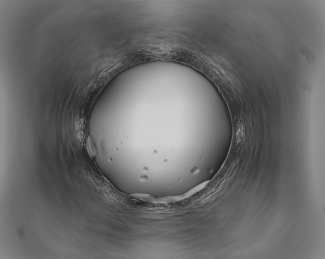 X0000112371156200908271312