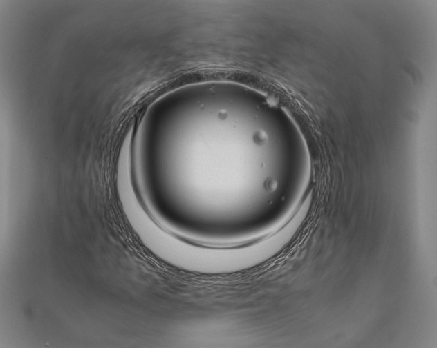 X0000112371157200908271311