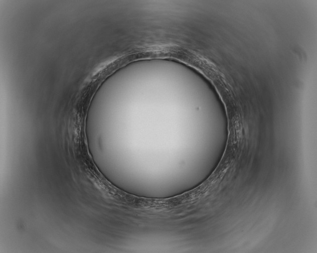 X0000112371158200908271311