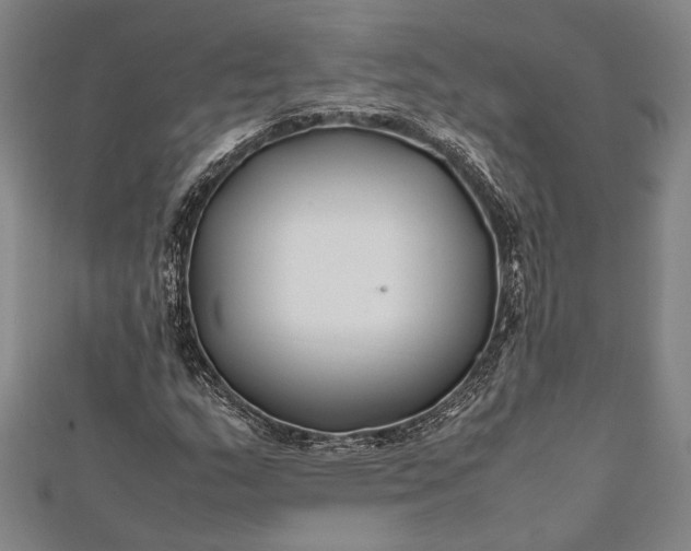 X0000112371159200908271311