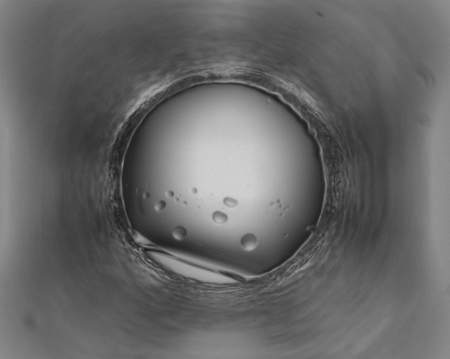 X0000112371160200908271311