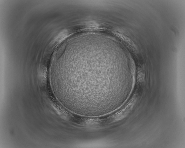 X0000112371161200908271311