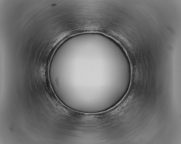 X0000112371162200908271311