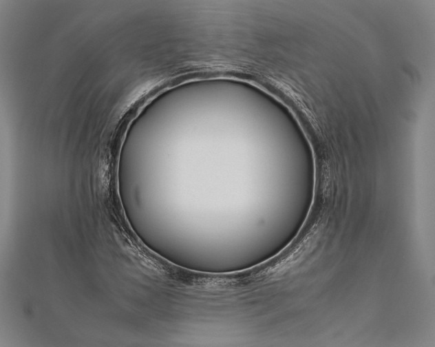 X0000112371163200908271311