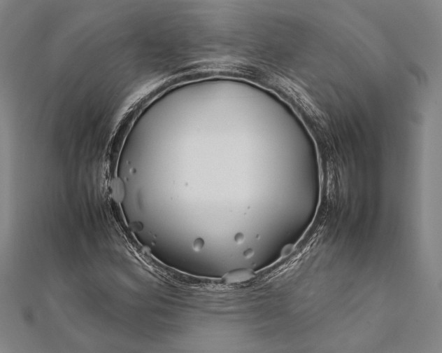 X0000112371164200908271311