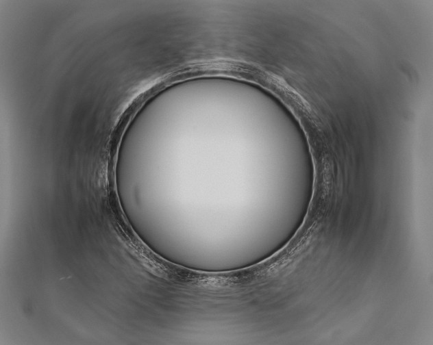 X0000112371166200908271311