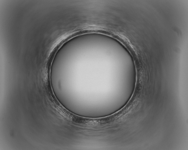 X0000112371167200908271311