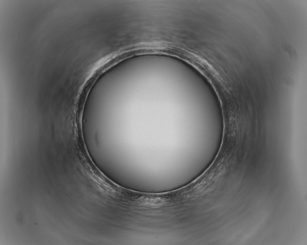 X0000112371168200908271311