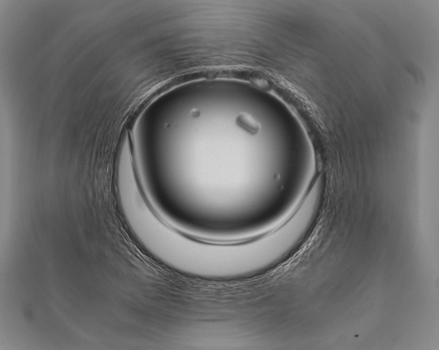 X0000112371169200908271311