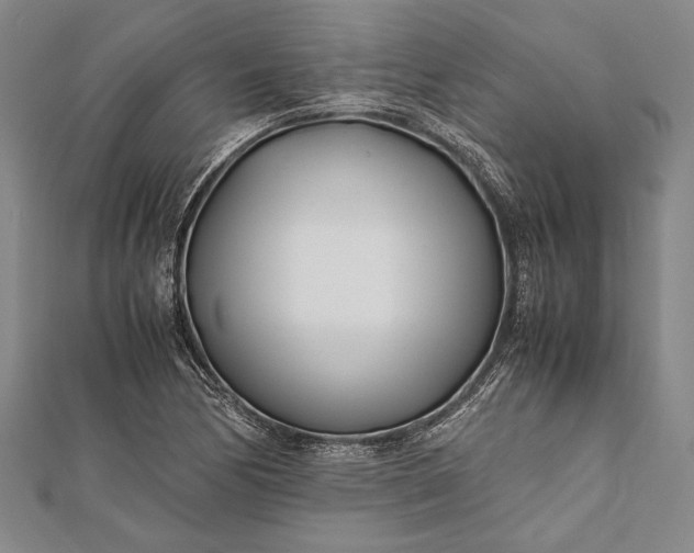 X0000112371170200908271311