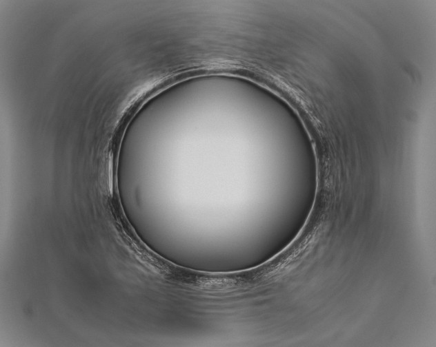 X0000112371171200908271311