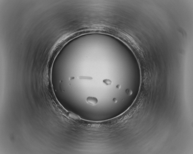 X0000112371172200908271311