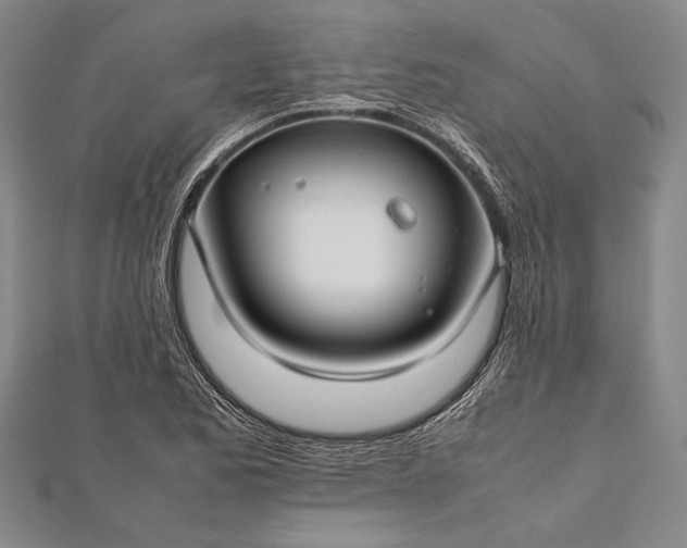 X0000112371173200908271311