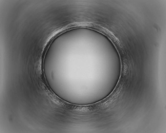 X0000112371174200908271311