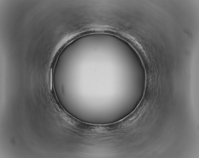 X0000112371175200908271311