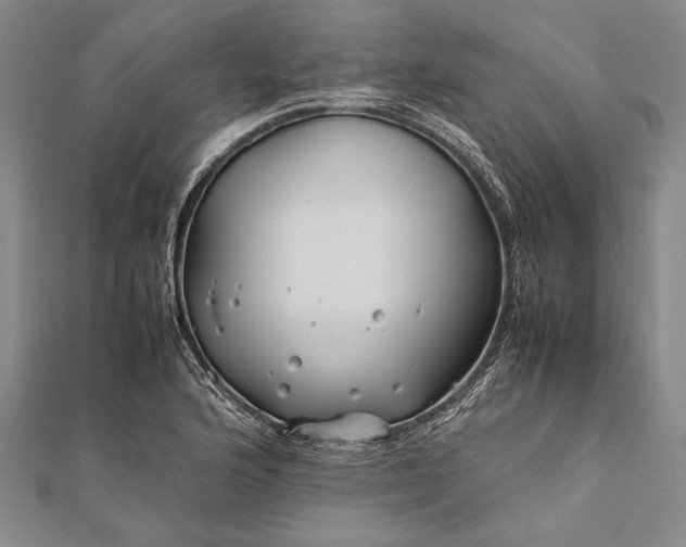 X0000112371176200908271311