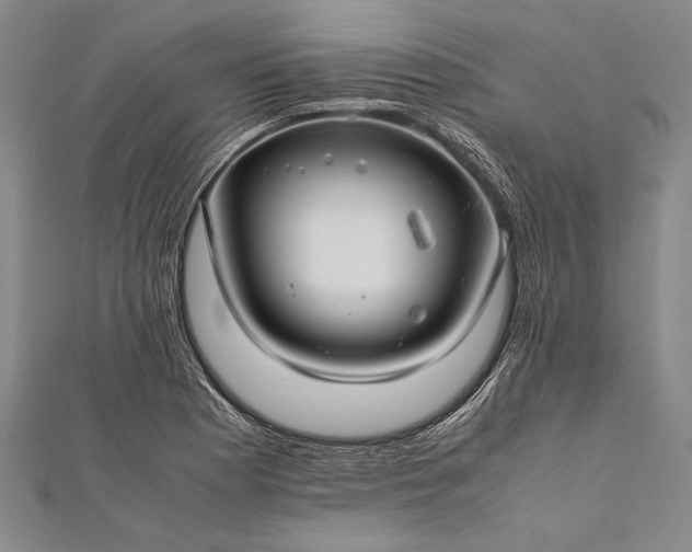 X0000112371177200908271311