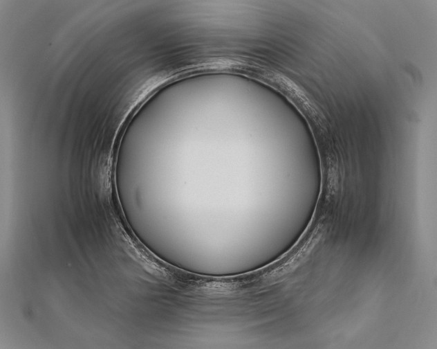 X0000112371178200908271311