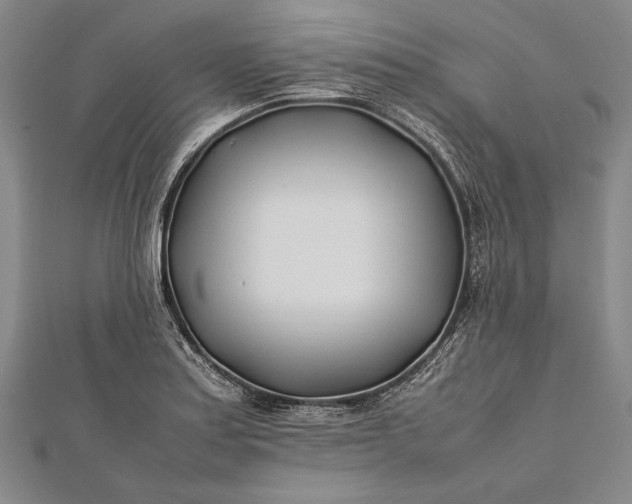 X0000112371179200908271311