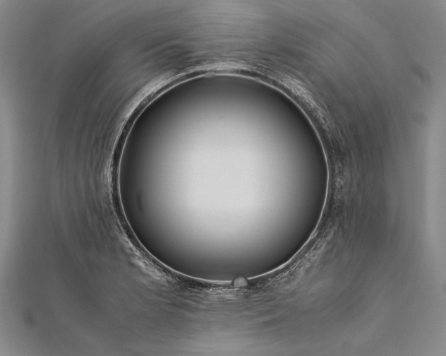 X0000112371181200908271311