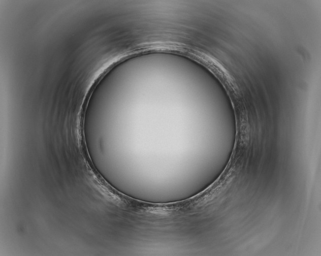 X0000112371182200908271311