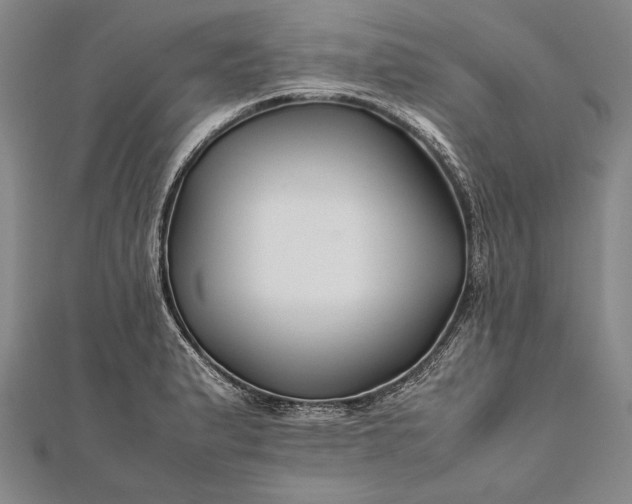 X0000112371183200908271311