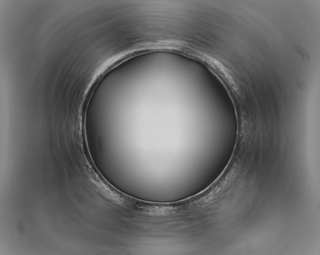 X0000112371184200908271311