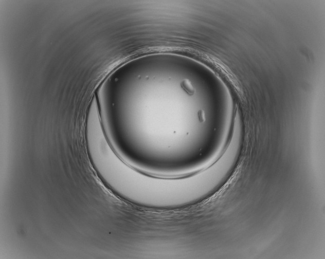 X0000112371185200908271311