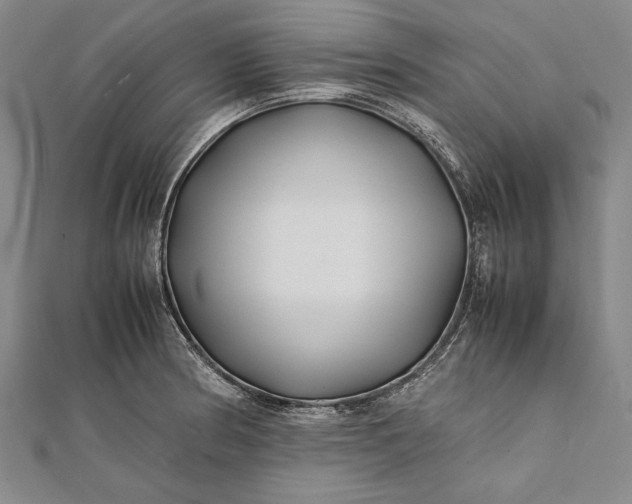 X0000112371186200908271311