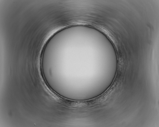 X0000112371187200908271311