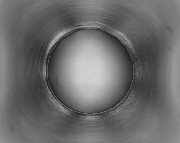 X0000112371188200908271311