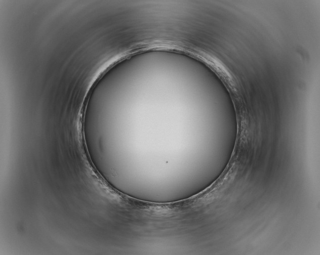 X0000112371190200908271311