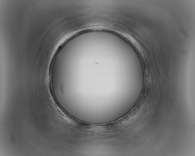 X0000112371191200908271311