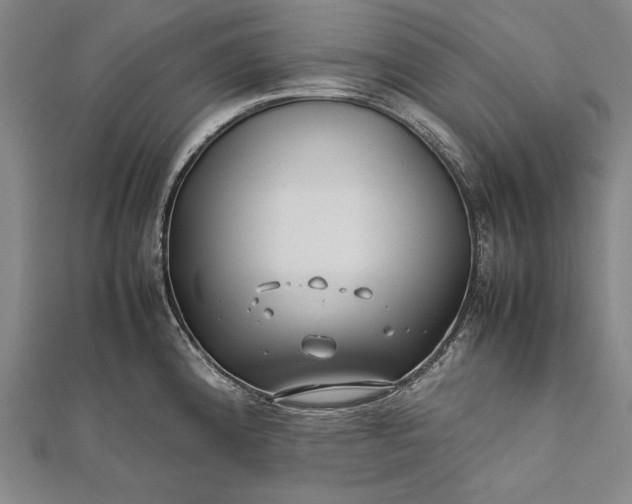 X0000112371192200908271311