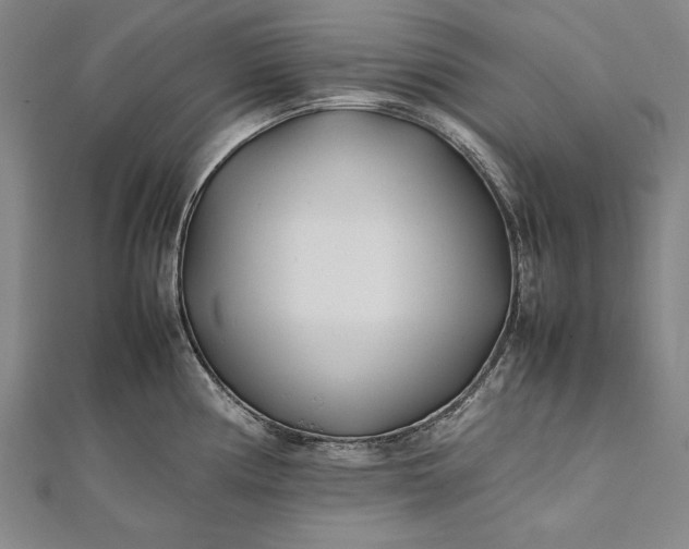 X0000112371194200908271311