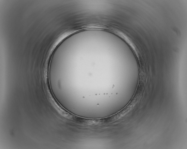 X0000112371195200908271311