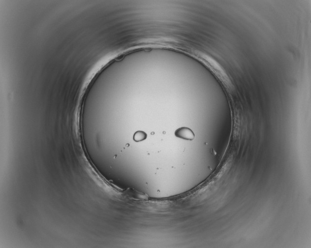 X0000112371196200908271311