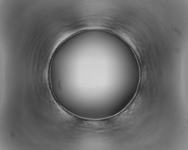 X0000112371197200908271311