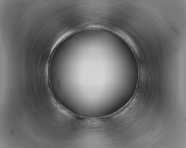 X0000112371198200908271311