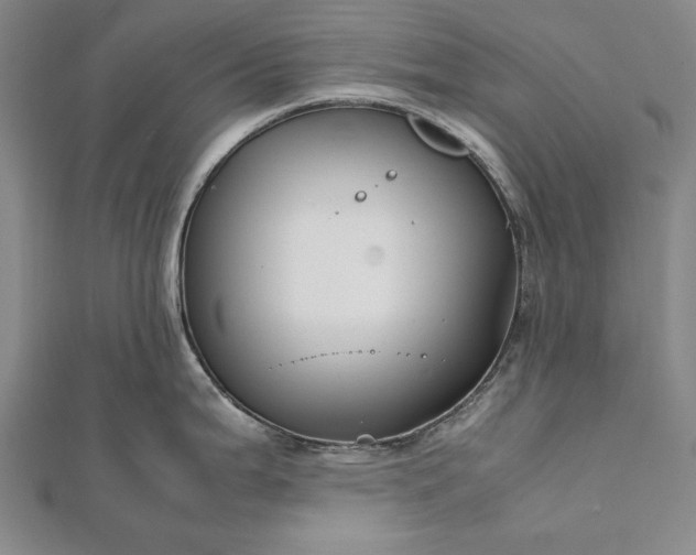 X0000112371199200908271311