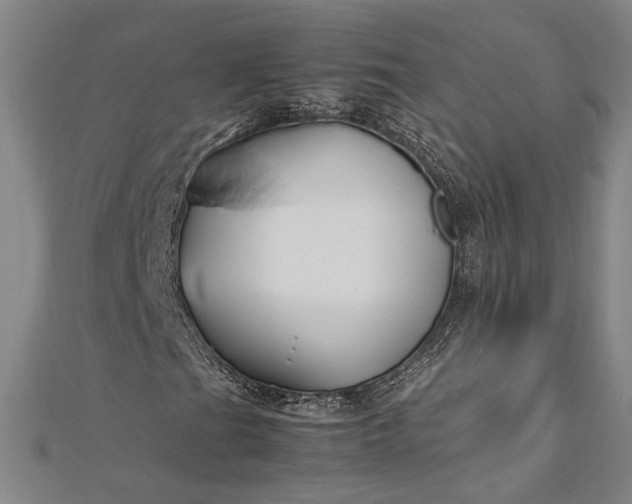 X0000112371201200908271310